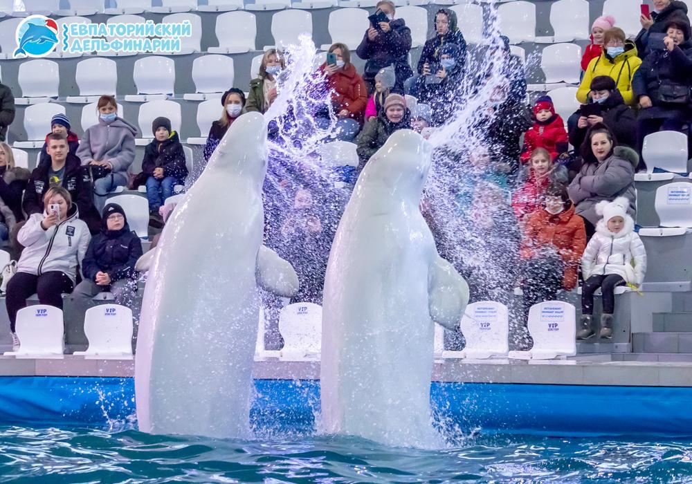 Евпаторийский дельфинарий