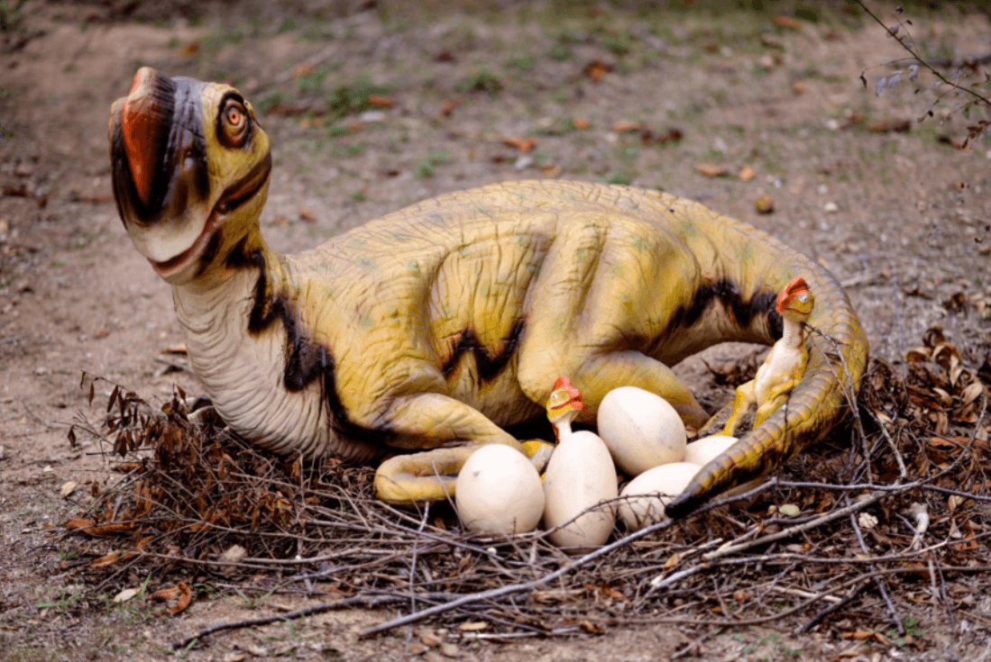 Парк «Затерянный мир»